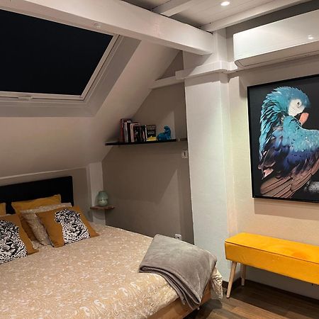 שטרסבורג Charmant Duplex Privatise, Climatise, 2 Chambres מראה חיצוני תמונה