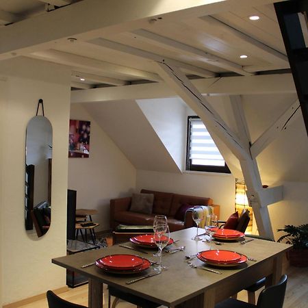 שטרסבורג Charmant Duplex Privatise, Climatise, 2 Chambres מראה חיצוני תמונה