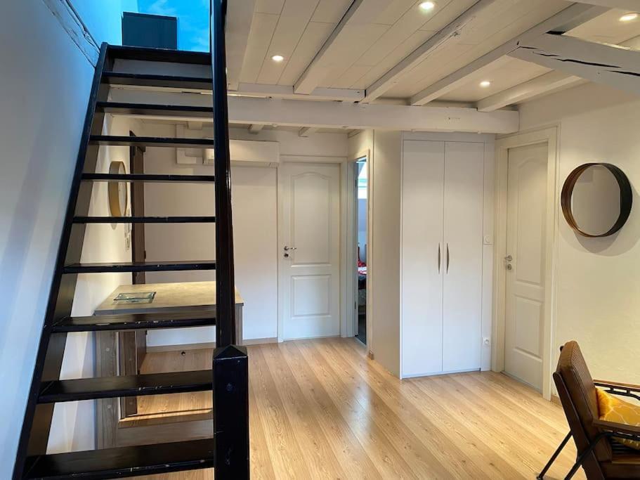 שטרסבורג Charmant Duplex Privatise, Climatise, 2 Chambres מראה חיצוני תמונה