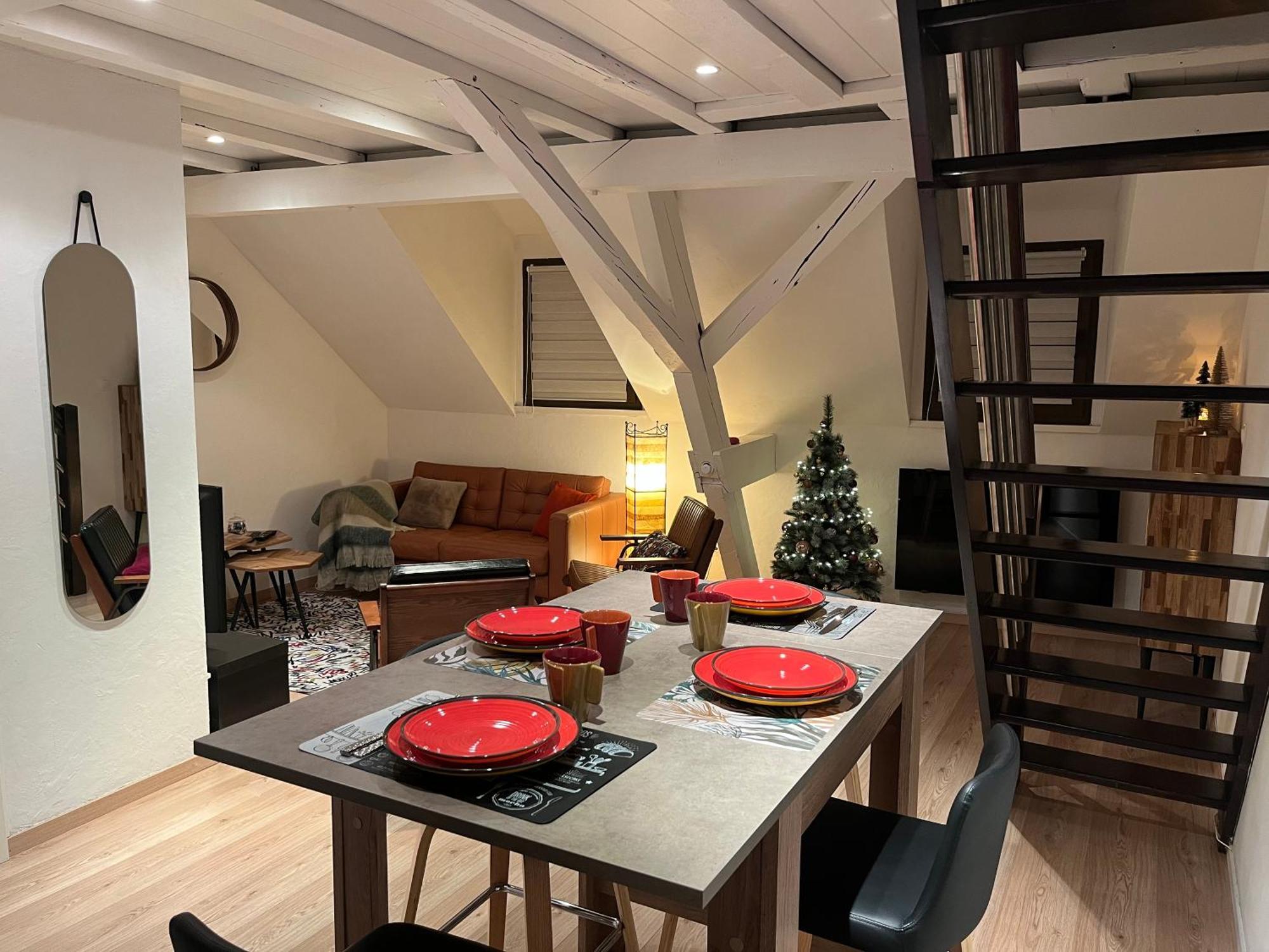 שטרסבורג Charmant Duplex Privatise, Climatise, 2 Chambres מראה חיצוני תמונה