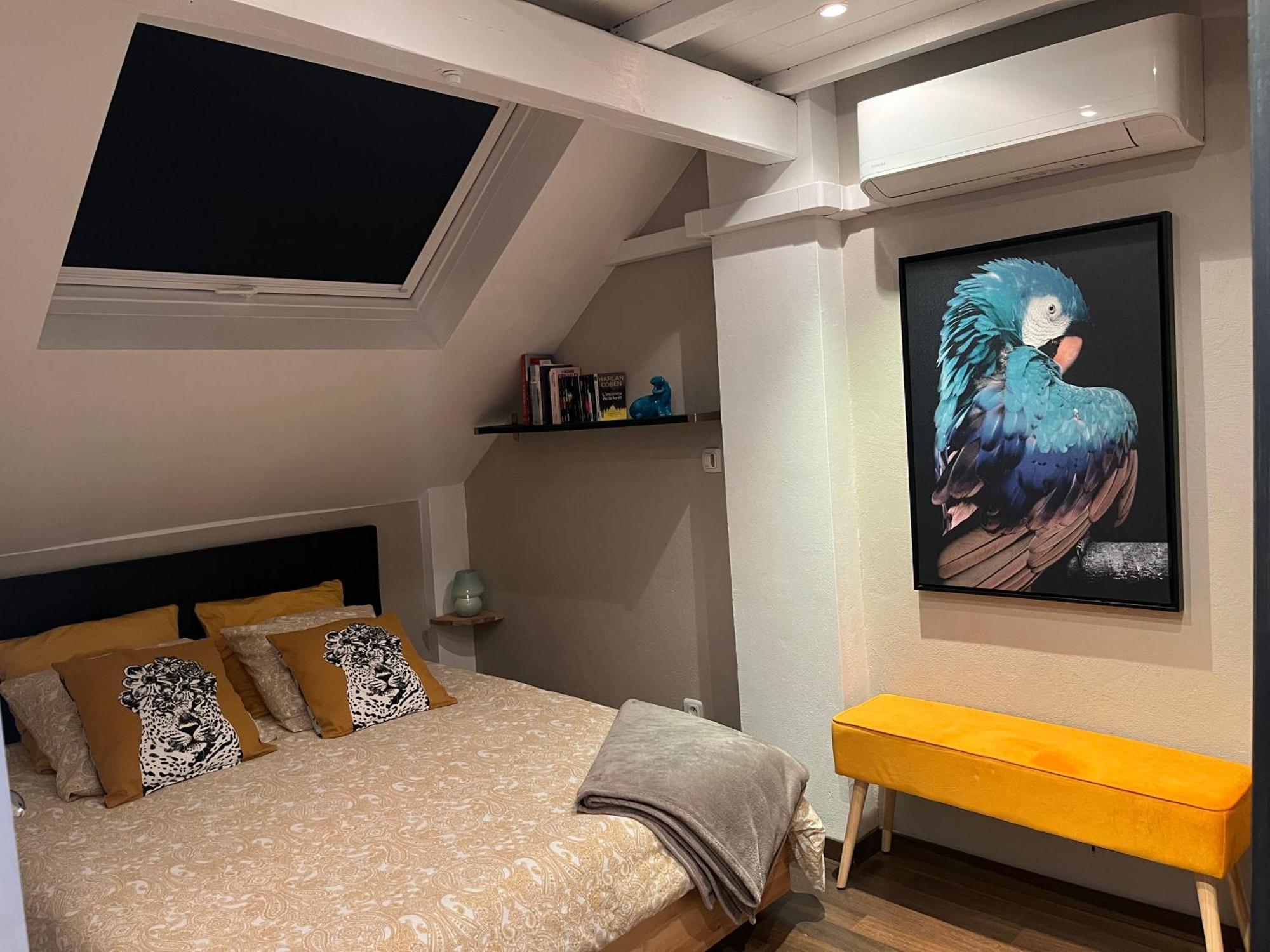 שטרסבורג Charmant Duplex Privatise, Climatise, 2 Chambres מראה חיצוני תמונה