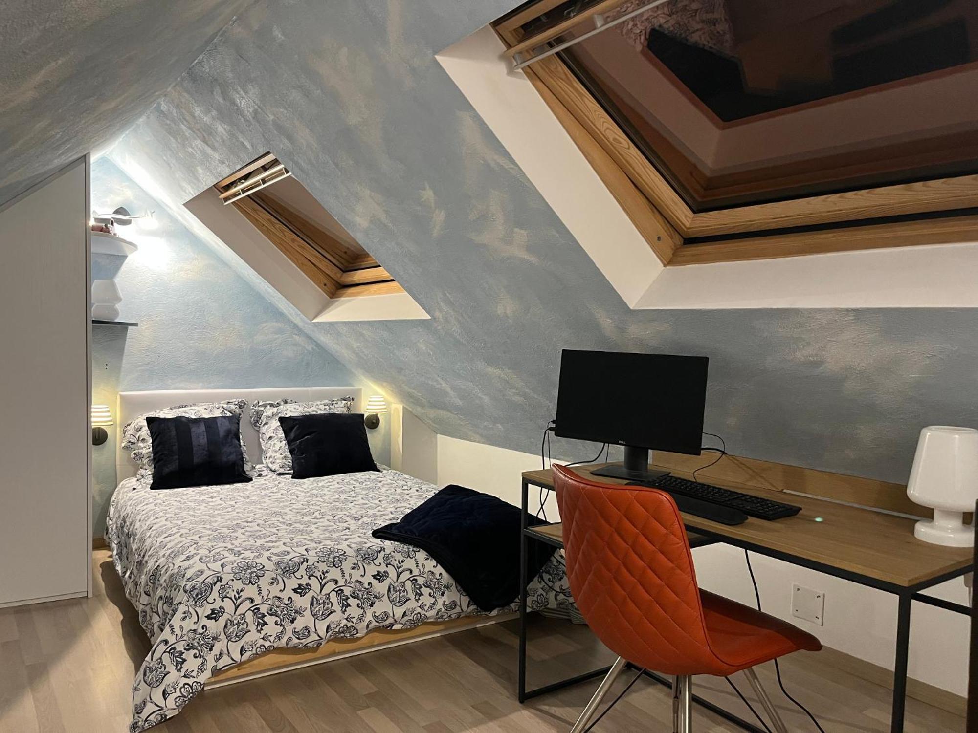 שטרסבורג Charmant Duplex Privatise, Climatise, 2 Chambres מראה חיצוני תמונה